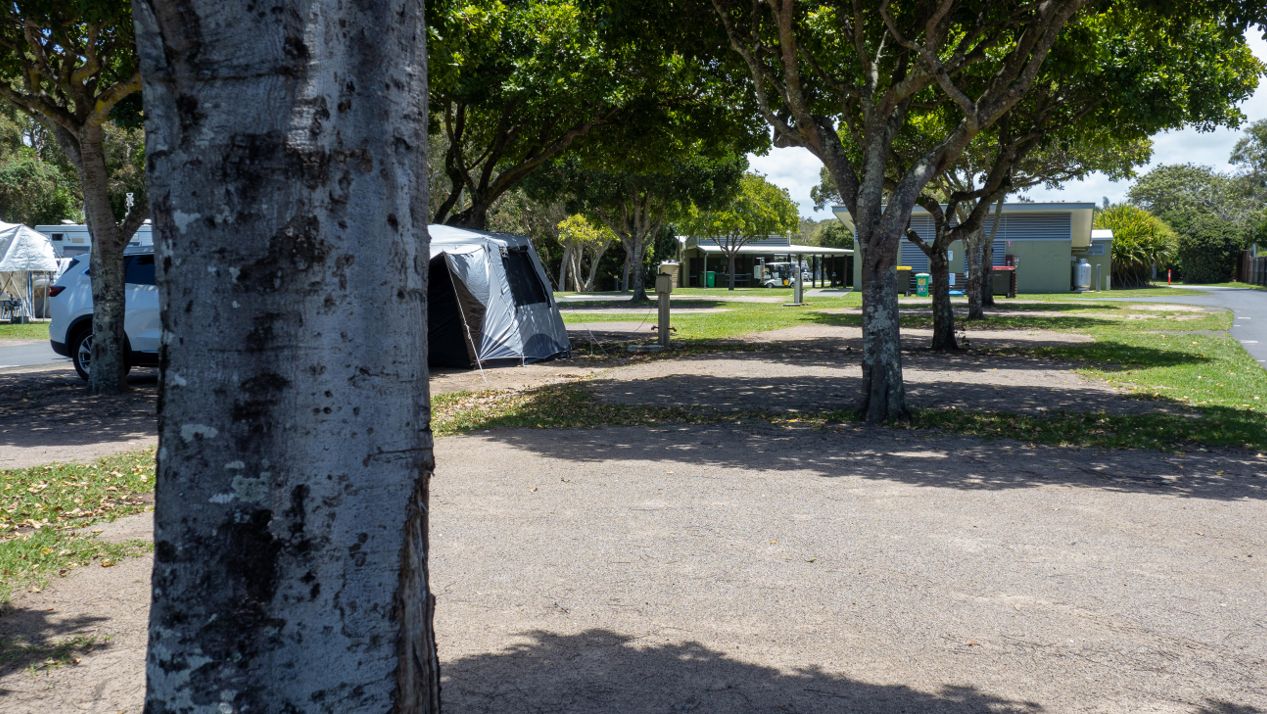Shaded, grassed site near the amenities block at Dicky Beach Holiday Park, with a small camper tent set up under tall trees.