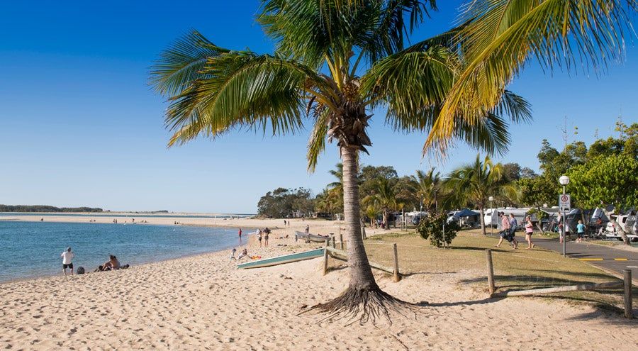 Cotton Tree Holiday Park
