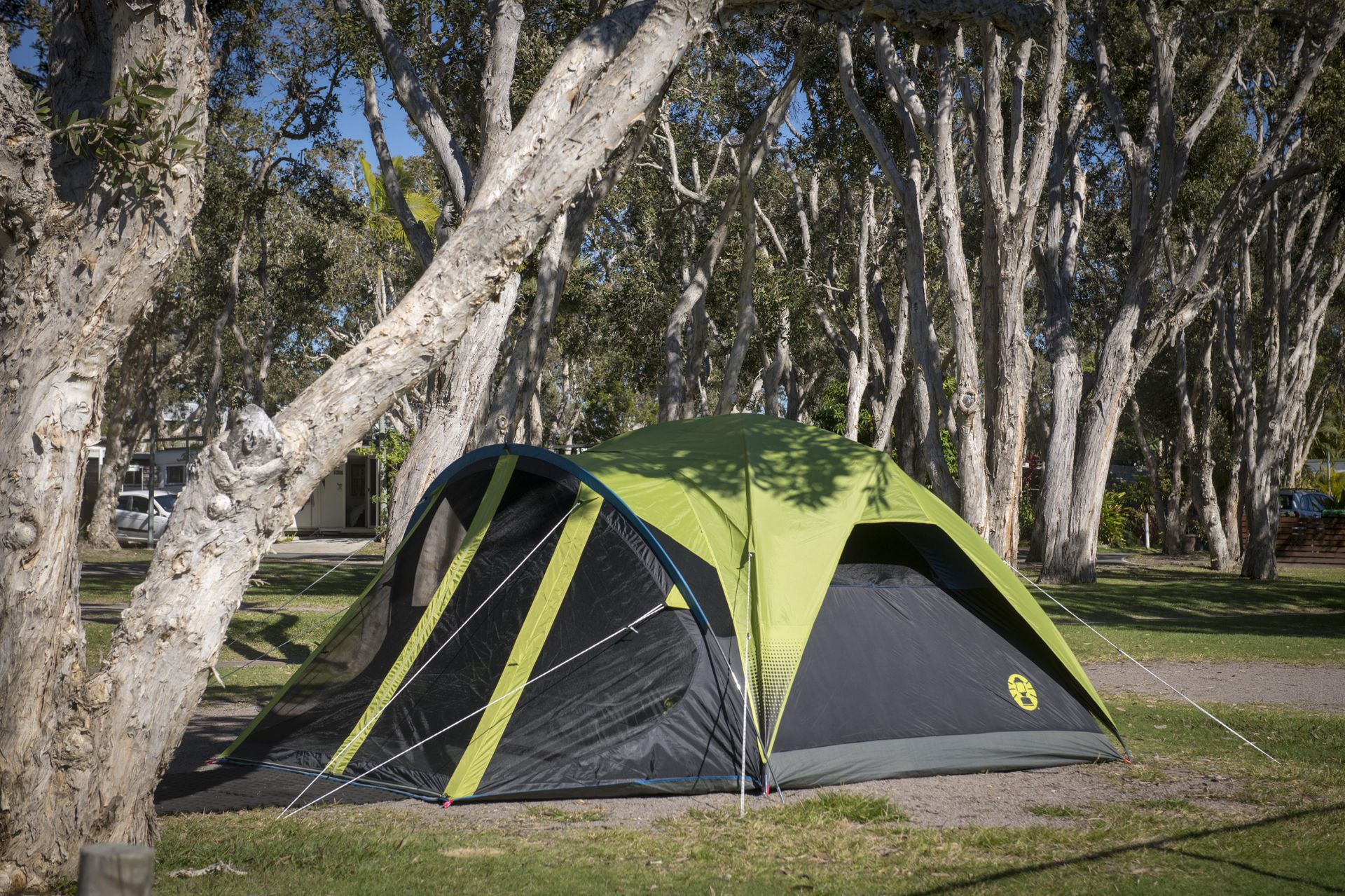 Green dome tent pitched on a grassed, tree-shaded unpowered camp site at Dicky Beach Holiday Park.