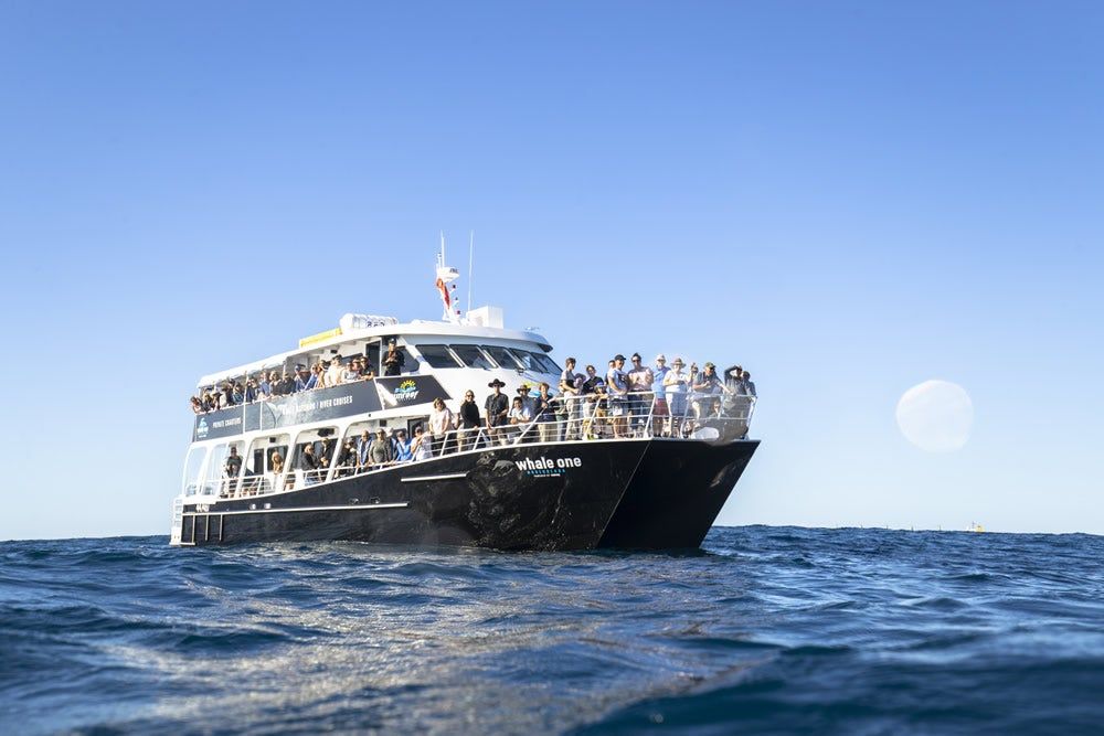 10% off tours